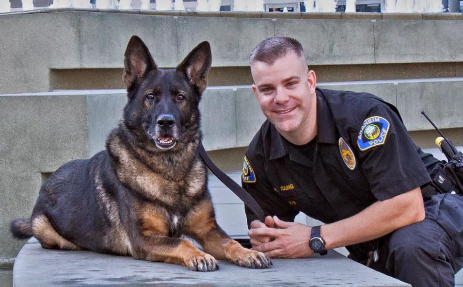 K9 Bruno - Anaheim, California - Memorials to Fallen K-9's